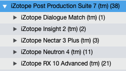 iZotope iZotope RX Post Production Suite 7